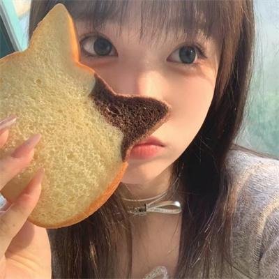熊盖毒